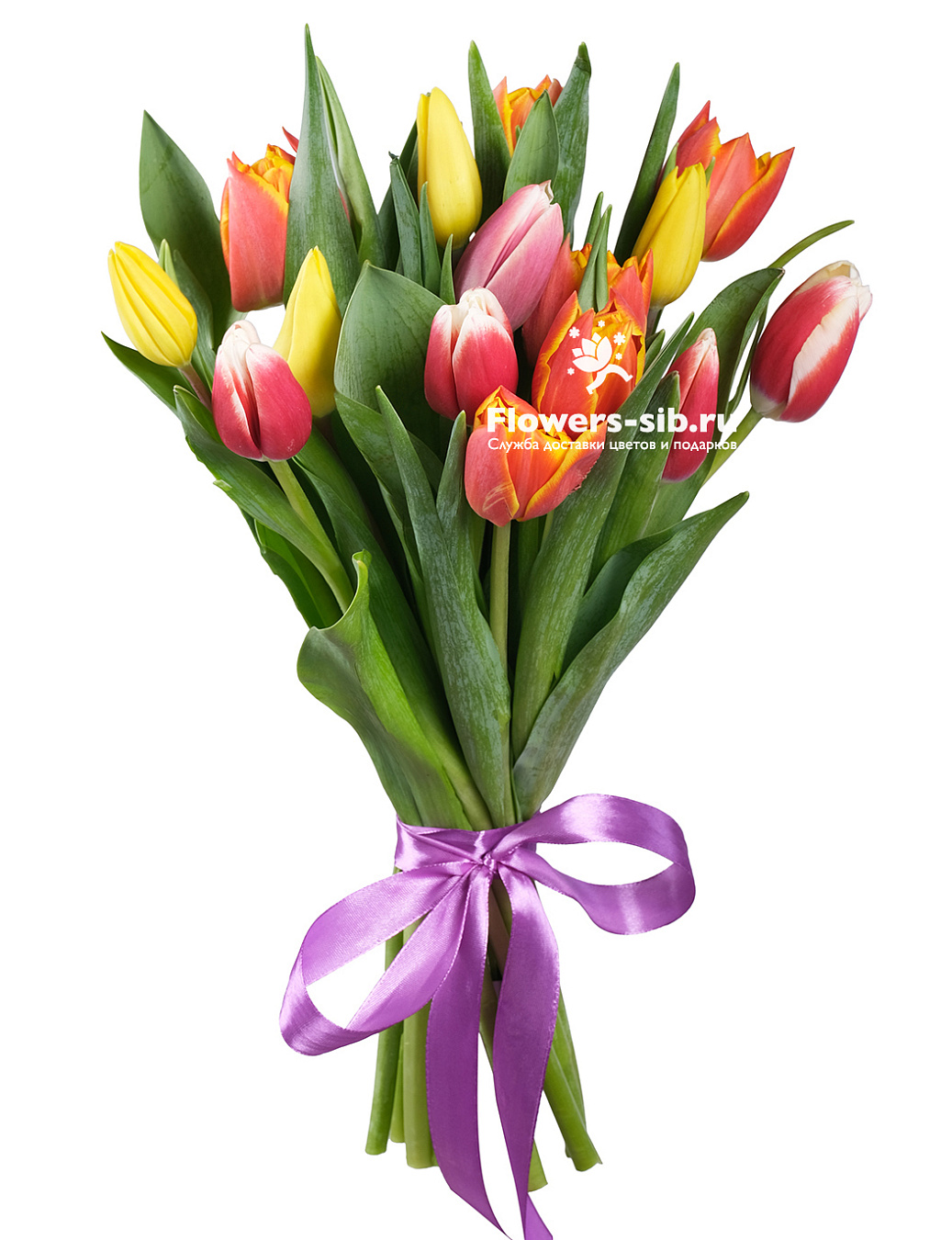 BOUQUET OF 15 TULIPS